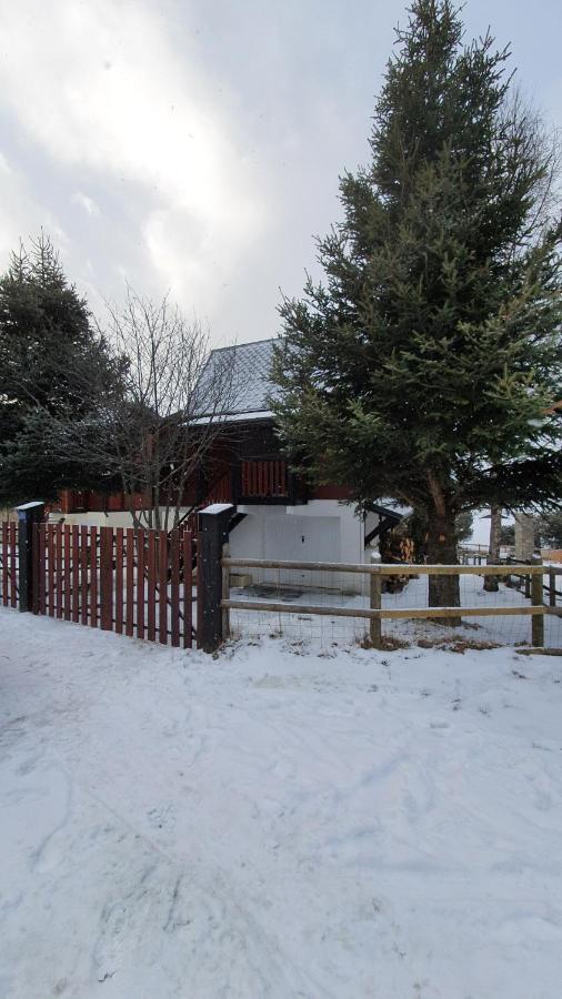 Chalet Individuel Les Sorbiers - 80M2 - Jardin - Barbecue - Wifi - Netflix - Ski & Randonnee - Pyrenees Catalanes Francaises - Eyne Exterior photo