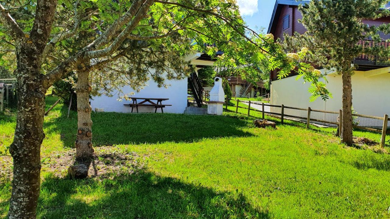 Chalet Individuel Les Sorbiers - 80M2 - Jardin - Barbecue - Wifi - Netflix - Ski & Randonnee - Pyrenees Catalanes Francaises - Eyne Exterior photo